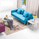 Modern Deisgn of Fabric Leisure Seating with Cushion Padidngs