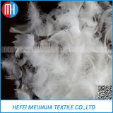White or Grey Duck Feather for Textile