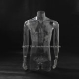 Transparent Half Male Mannequins for T-Shirt and Dress Display (GSMB-001A)