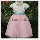 Children Fashion Party Summer Tulle Dress for Girls