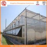 Agriculture/Commercial Polycarbonate Sheet Tent with Cooling System