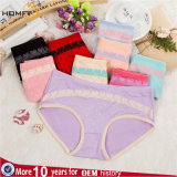 Sexy Lace Cute Women Briefs Underpants Nice Underwear Women Underwear