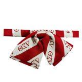 Fashion High Quanlity Factory Soft Polyester Stock Bowtie