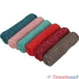 Luxury Jacquard Warp Knitted Microfiber Bath Towel