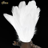 Super Clean Cheap White Duck Feather for Filling