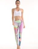 Colorful and Fashion Customized Sport Wear for Women