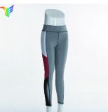 New Fashion Quick Dry High Elastic Spandex Yoga Pants Wholesale