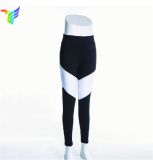 Nylon Spandex Fitness Yoga Pants Sexy Ladies Leggings for Women