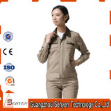 220gsmfood Processing Worker Uniforms of Plain 100% Cotton