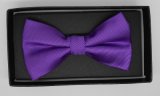New Design Fashion Men's Woven Bow Tie (DSCN0029)