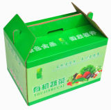 Convenient Carrying Box for Vegetables (PB-008)