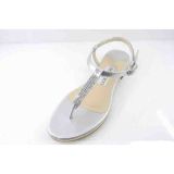 New Style of Lady Flat Casual Sandals (HCY02-105)