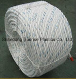 PP Danline Mooring Rope Equal to Dsr Quality