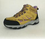 Lady Style Cemented Safety Shoes (HQ6120501)