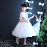 Ivory Embroider Girl Clothes Kids Garment Fashion Girl Dress (ST04)