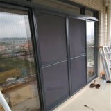 Woodwin Double Glass Exterior Aluminum Sliding Door with Insect Screen
