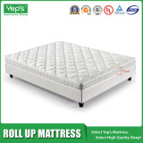 6 Inch High Density Foam Roll Mattress for Camping