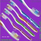Disposable Travel Toothbrush (WH-T004)