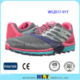 Fashion Style Design Wholesale High Quality Sport Shoes