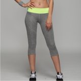 Woman Fitness Sports Training Shorts Dry Stretchable Sexy Yoga Pants