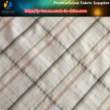75D*75D Yarn-Dyed Cloth, 100%Polyester Yarn Dyed Fabric