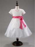 Kd1071 Girls Dress Elegant Children Party Clothing Short Sleeve Girls Dress for Wedding Party with Bow Knot Wholesale