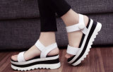 New Fashion Lady Platform Sandals (W02-9)