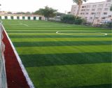 Ce Certified Football Artificial Turf Grass Carpet