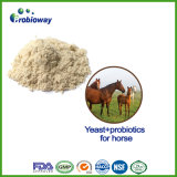 Top Grade Horse Yeast and Probiotics Bulk Animal Feed Additive