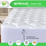 Hypoallergenic All Size Bamboo Terry Waterproof Anti-Bacterial Mattress Protector