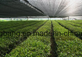 Landscape Fabric, Weed Control Fabric for Lawn Use