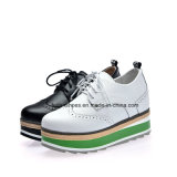 High Quality Women Leather Shoes Casual Shoes (FYS7908-1)