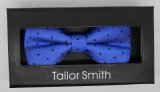 New Design Fashion Men's Woven Bow Tie (DSCN0069)