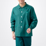 Green Colors Fashionable Nurse & Doctor Uniforms - Workwear