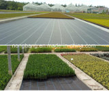 Virgin Material China HDPE /PP Weed Control Fabric