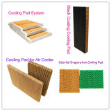 Colorful Evaporative Cooling Pads
