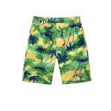 Hawaii Style Island Printed Shorts