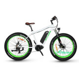 Man Style 48V 1000W Adult Mountain Fat Electric Bike for Sale