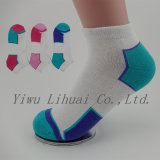 Comfortable Colorful Cotton Women Socks Sport No Show Ankle Socks