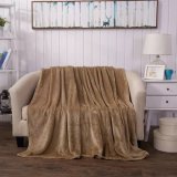 China Cheap Promotional Coral Fleece Blanket for Bedding