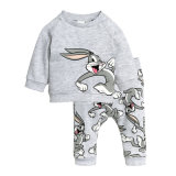 Kids Boys Girls Clothing Sets 2 Pieces Toddler Cotton Long Sleeve T-Shirt & Pants 2-7t