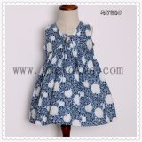 New Product Baby Clothes Clothing Floral Dresses for Girl Outfits