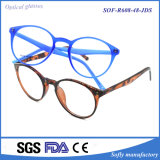 Personalized Design Tr90 Optical Frame Optics Reading Glasses