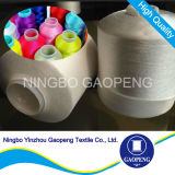 100% Polyester Embroidery Thread for Clothing/Garment/Shoes/Bag/Case