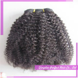Good Suppliers Double Weft Afro Curl Virgin Brazilian Human Hair
