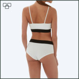 Swimwear Brazilian Bikini Plus Size Swimsuit