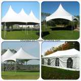 Architecture Membrane Structure PVDF Lacquered Awning Fabric in Rolls
