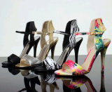 New Collection Fashion Women High Heel Sandals (HCY02--1817)