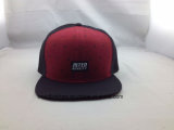 Hot Sell Two Tone Screen Print 2D Embroidery Snapback Cap