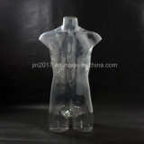 Transparent Male Bust Mannequins for Underwear and T-Shirt Display